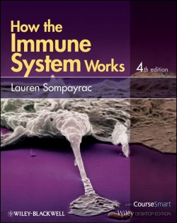 Книга "How the Immune System Works" – 