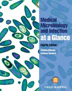 Книга "Medical Microbiology and Infection at a Glance" – 