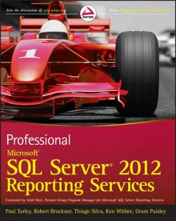 Книга "Professional Microsoft SQL Server 2012 Reporting Services" – 