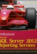 Professional Microsoft SQL Server 2012 Reporting Services ()