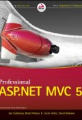 Professional ASP.NET MVC 5 ()