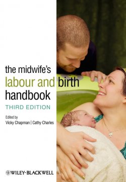 Книга "The Midwifes Labour and Birth Handbook" – 