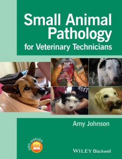 Книга "Small Animal Pathology for Veterinary Technicians" – 