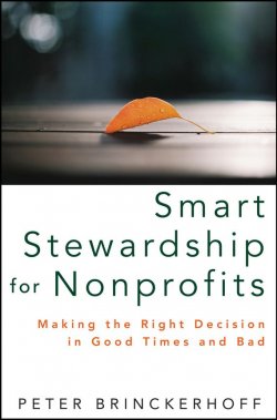 Книга "Smart Stewardship for Nonprofits. Making the Right Decision in Good Times and Bad" – 