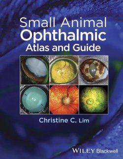Книга "Small Animal Ophthalmic Atlas and Guide" – 