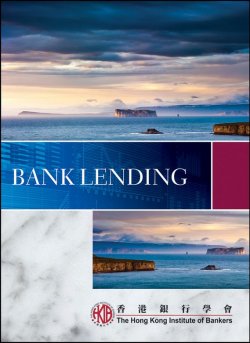 Книга "Bank Lending" – 