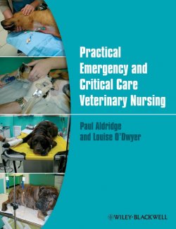 Книга "Practical Emergency and Critical Care Veterinary Nursing" – 