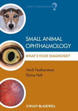 Книга "Small Animal Ophthalmology. Whats Your Diagnosis?" – 