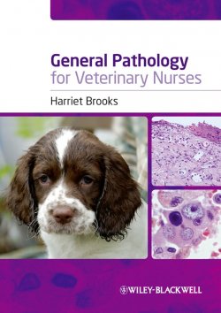 Книга "General Pathology for Veterinary Nurses" – 