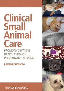 Книга "Clinical Small Animal Care. Promoting Patient Health through Preventative Nursing" – 