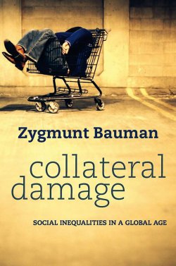 Книга "Collateral Damage. Social Inequalities in a Global Age" – 