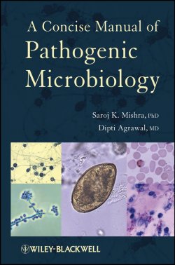 Книга "A Concise Manual of Pathogenic Microbiology" – 