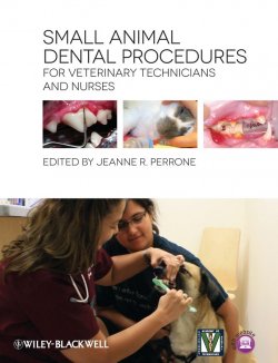 Книга "Small Animal Dental Procedures for Veterinary Technicians and Nurses" – 