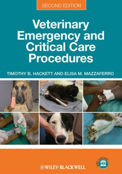 Книга "Veterinary Emergency and Critical Care Procedures, Enhanced Edition" – 