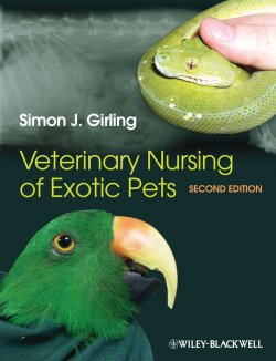 Книга "Veterinary Nursing of Exotic Pets" – 