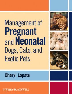 Книга "Management of Pregnant and Neonatal Dogs, Cats, and Exotic Pets" – 