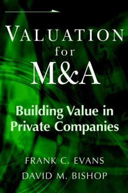 Книга "Valuation for M&A. Building Value in Private Companies" – 