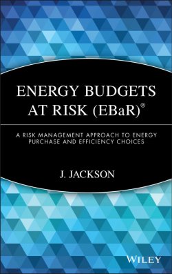 Книга "Energy Budgets at Risk (EBaR). A Risk Management Approach to Energy Purchase and Efficiency Choices" – 