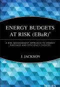 Energy Budgets at Risk (EBaR). A Risk Management Approach to Energy Purchase and Efficiency Choices ()