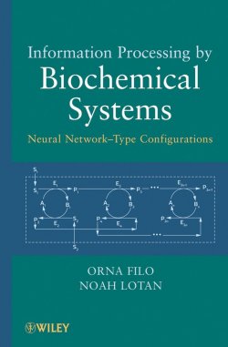 Книга "Information Processing by Biochemical Systems. Neural Network-Type Configurations" – 