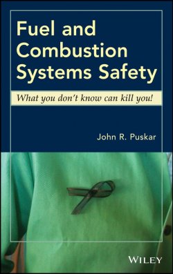 Книга "Fuel and Combustion Systems Safety. What you dont know can kill you!" – 