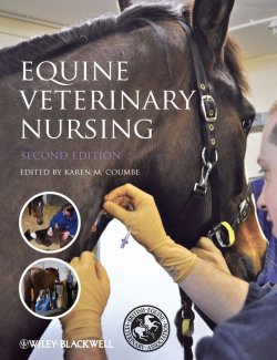 Книга "Equine Veterinary Nursing" – 