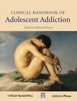 Книга "Clinical Handbook of Adolescent Addiction" – 