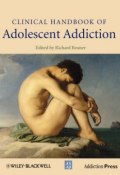 Clinical Handbook of Adolescent Addiction ()