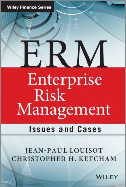 Книга "ERM - Enterprise Risk Management. Issues and Cases" – Jean Paul