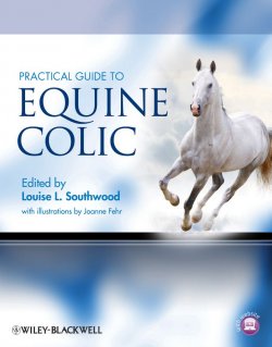 Книга "Practical Guide to Equine Colic" – 