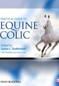 Practical Guide to Equine Colic ()