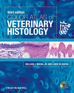 Книга "Color Atlas of Veterinary Histology" – 