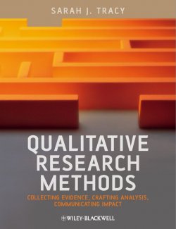 Книга "Qualitative Research Methods. Collecting Evidence, Crafting Analysis, Communicating Impact" – 