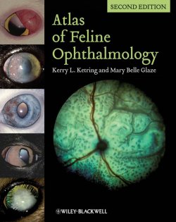 Книга "Atlas of Feline Ophthalmology" – 