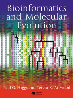 Книга "Bioinformatics and Molecular Evolution" – 