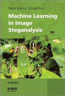 Книга "Machine Learning in Image Steganalysis" – 