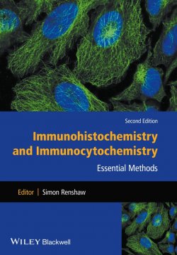 Книга "Immunohistochemistry and Immunocytochemistry. Essential Methods" – 