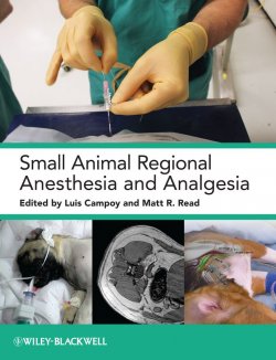 Книга "Small Animal Regional Anesthesia and Analgesia" – 