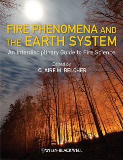 Книга "Fire Phenomena and the Earth System. An Interdisciplinary Guide to Fire Science" –  Belcher Claire
