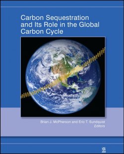 Книга "Carbon Sequestration and Its Role in the Global Carbon Cycle" – 