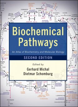 Книга "Biochemical Pathways. An Atlas of Biochemistry and Molecular Biology" – 