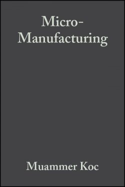 Книга "Micro-Manufacturing. Design and Manufacturing of Micro-Products" – 