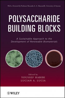 Книга "Polysaccharide Building Blocks. A Sustainable Approach to the Development of Renewable Biomaterials" – 