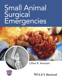 Книга "Small Animal Surgical Emergencies" – 
