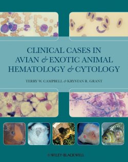 Книга "Clinical Cases in Avian and Exotic Animal Hematology and Cytology" – 