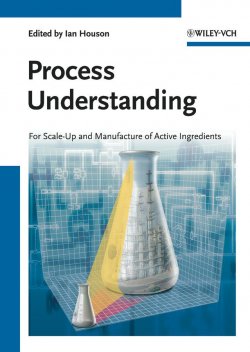 Книга "Process Understanding. For Scale-Up and Manufacture of Active Ingredients" – 