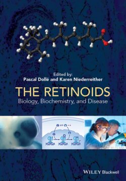 Книга "The Retinoids. Biology, Biochemistry, and Disease" – 