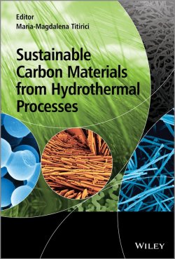 Книга "Sustainable Carbon Materials from Hydrothermal Processes" – 