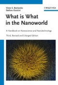 What is What in the Nanoworld. A Handbook on Nanoscience and Nanotechnology ()