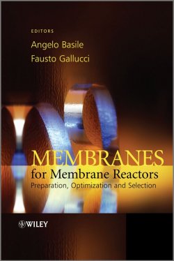 Книга "Membranes for Membrane Reactors. Preparation, Optimization and Selection" – 